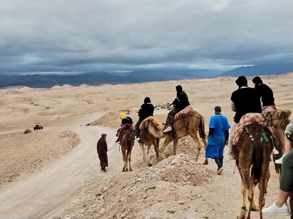 agafay desert camel ride and dinner with show